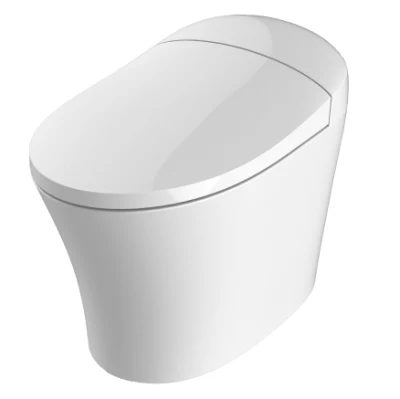 Hotel Bathroom Use Ceramic Toilets Water Closet Toilet