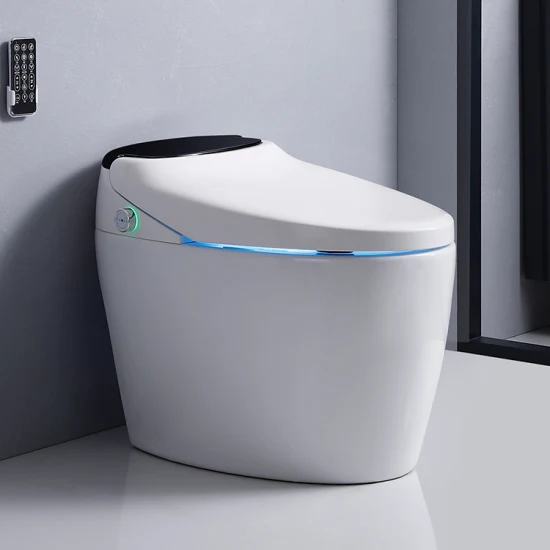 Chaozhou Sanitary Ware 110V/220V Porcelain Automatic European Bathroom Sensor Auto Flush Wc Intelligent Toilet Bowl Smart Toilet with Toilet Seat