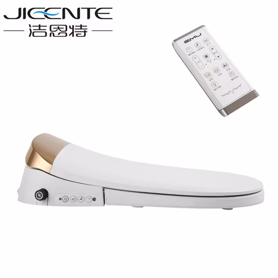 Luxury Feminine Wash Rear Wash Intelligent Smart Toilet Seat